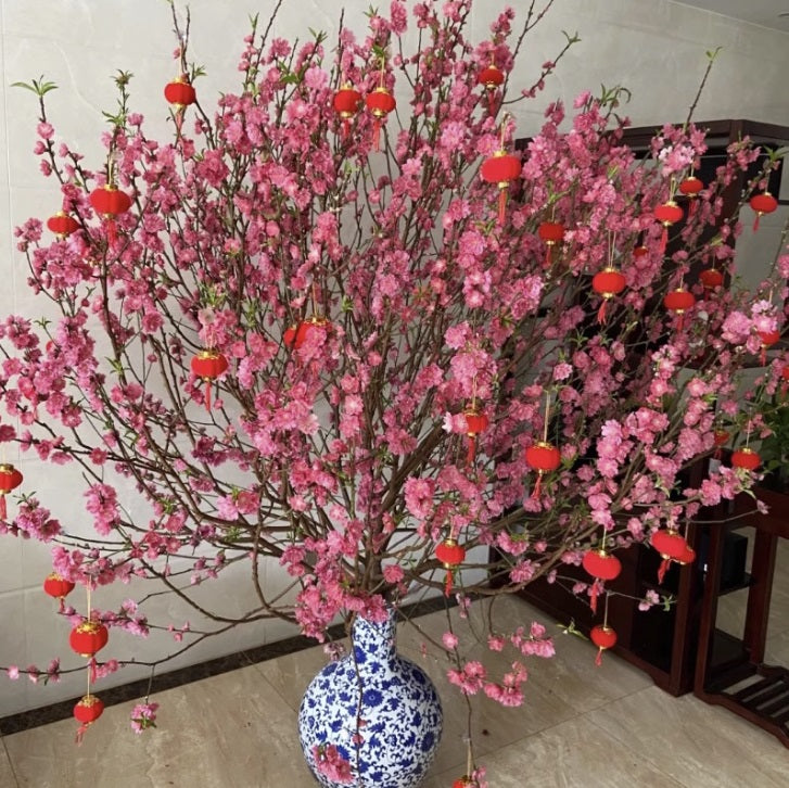 Peach Blossom (Cut Flowers)