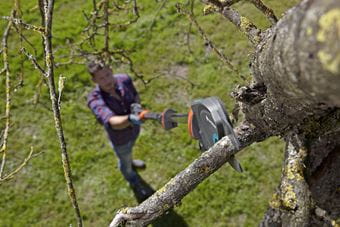 Gardena Tree and Pruning Lopper Telescopic StarCut 410 Plus Garden Plus