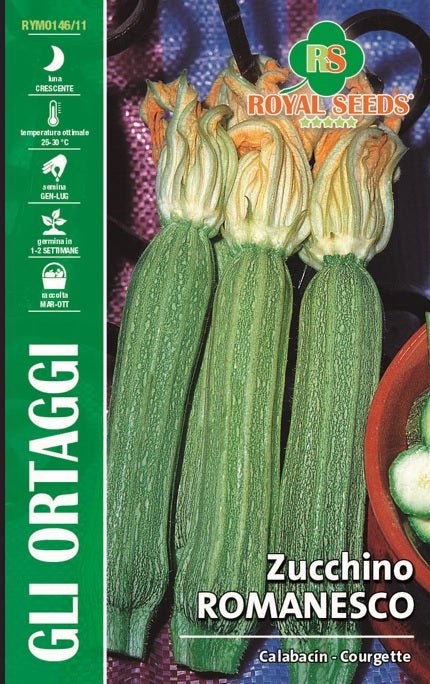 Courgette Romanesco - Royal Seed RYMO146/11 Garden Plus