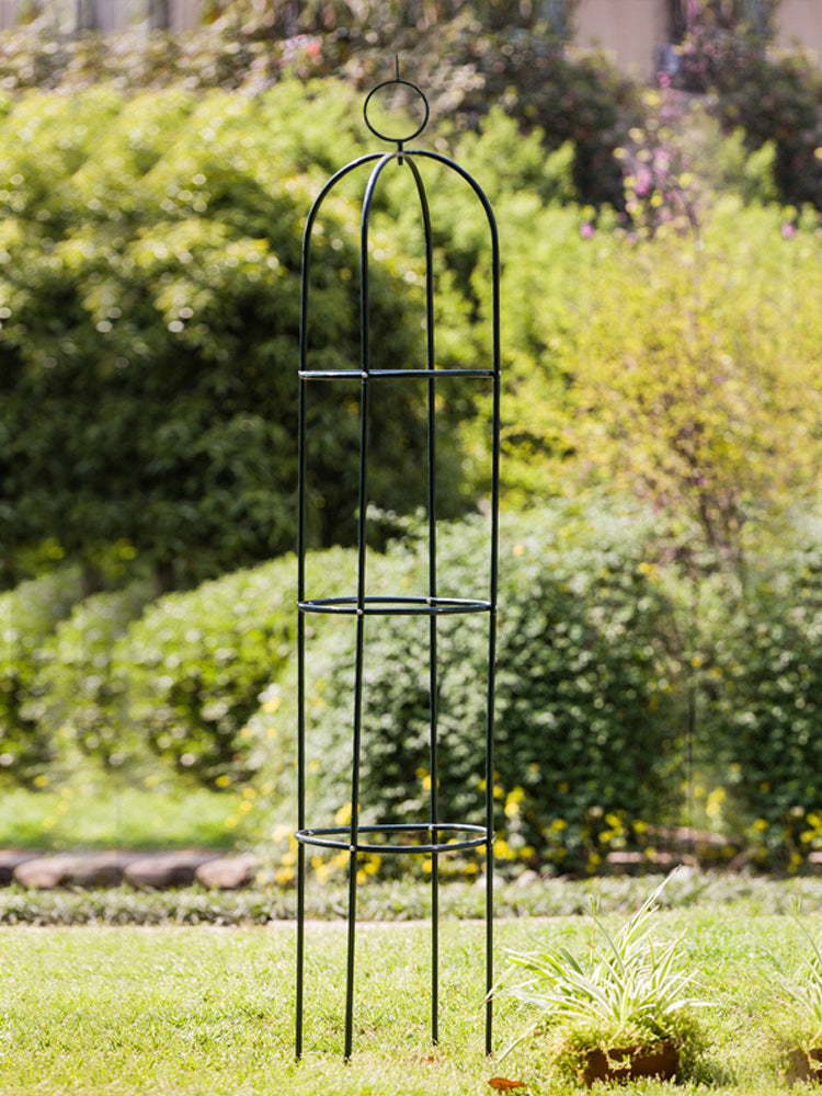 Iron Clematis Climbing Flower Stand Garden Plus